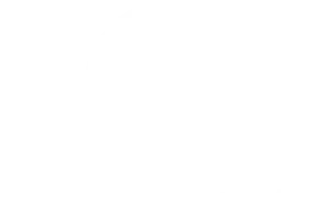 Colonial Saw and Striebig - 50 year partnership logo