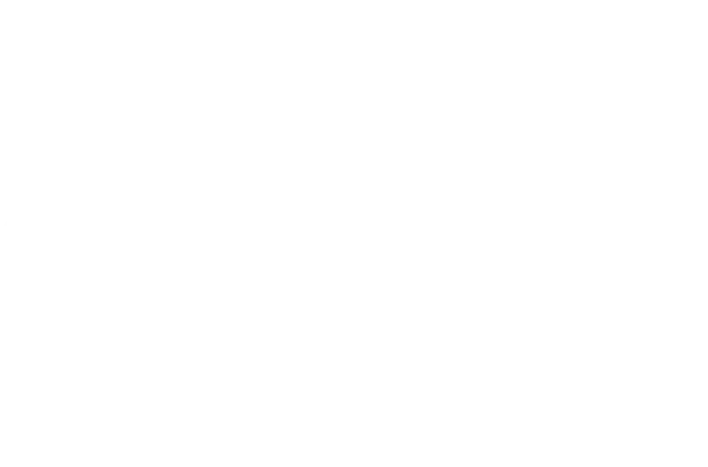 Colonial Saw and Striebig - 50 year partnership logo