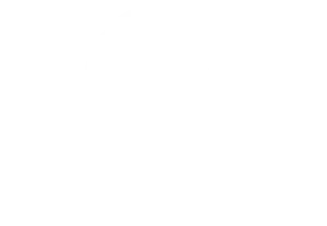 Colonial Saw Lamello 50 year partnership logo