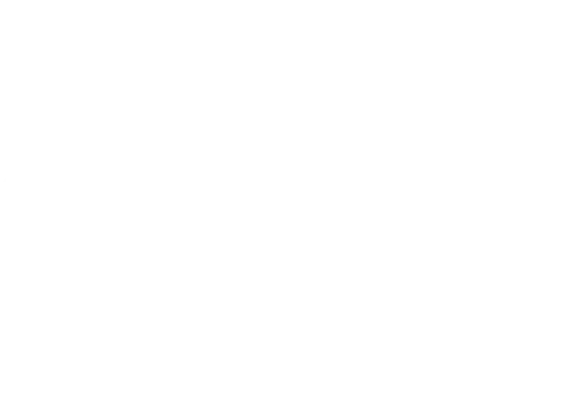 Colonial Saw Lamello 50 year partnership logo