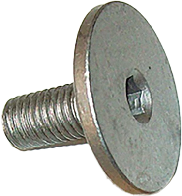 Striebig socket head screw for sawblade